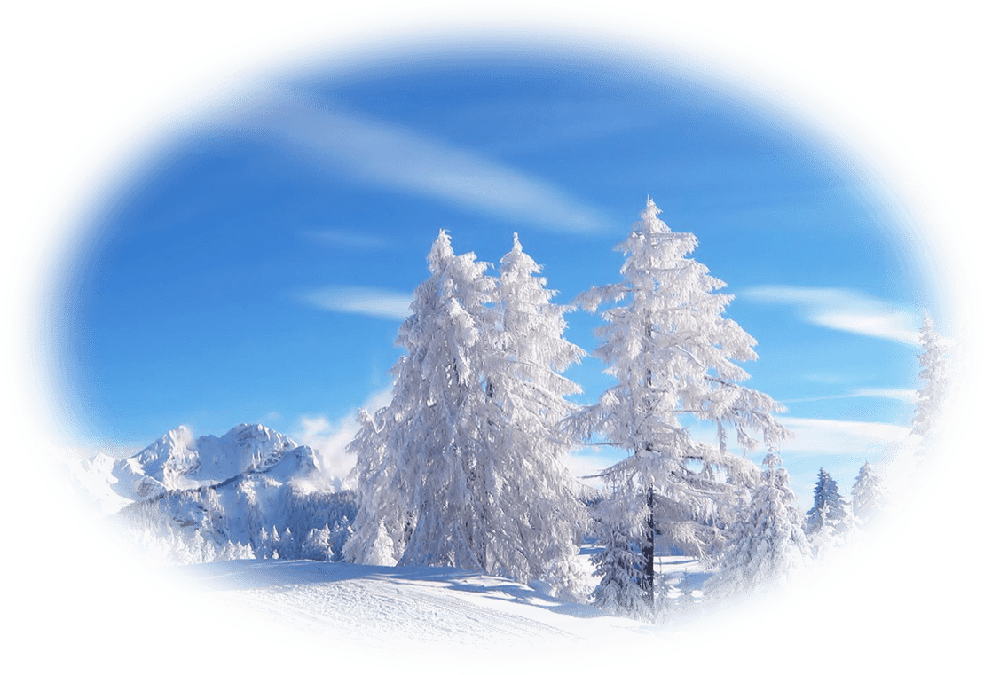 Comming Later More - Jahorina Winter Transparent PNG - 1140x760 - Free Download on - Transparent PNG Free Download | PNGio
