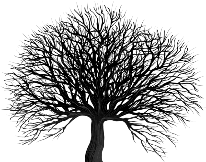 Free Png Download Black Tree Png Png Images Background - Winter Tree Silhouette Transparent PNG - 850x672 - Free Download on - Transparent PNG Free Download | PNGio