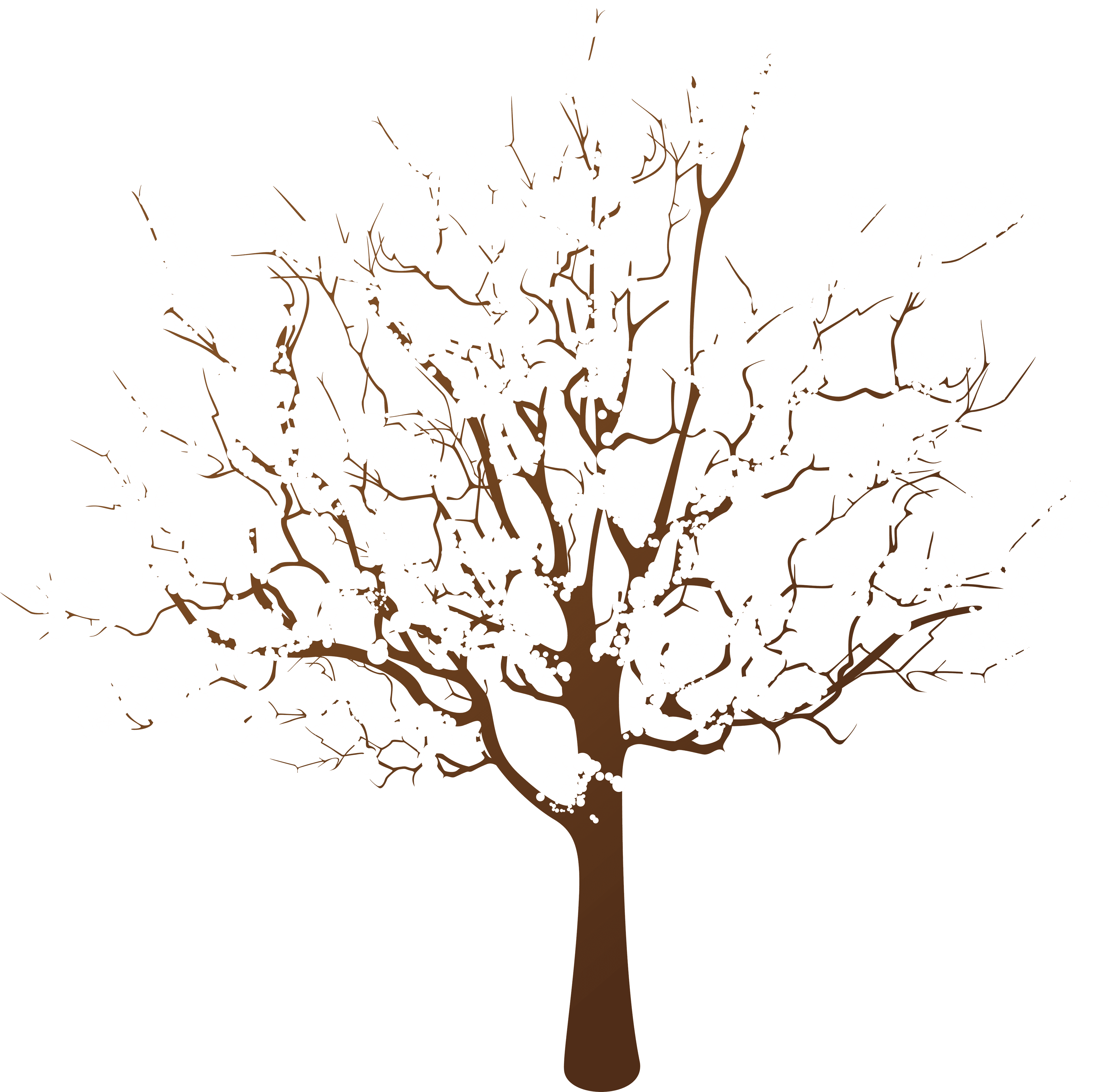 Winter Tree Transparent Clip Art Transparent PNG - 8000x7878 - Free Download on - Transparent PNG Free Download | PNGio