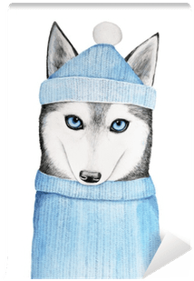 Cute Husky Dog In A Blue Winter Hat And Warm Sweater - Sweater Transparent PNG - 400x400 - Free Download on - Transparent PNG Free Download | PNGio