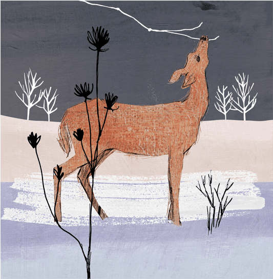Winter Woodland Deer - Deer Transparent PNG - 600x600 - Free Download on - Transparent PNG Free Download | PNGio