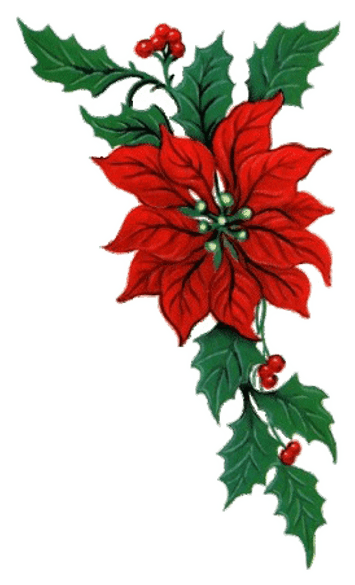 Set Of 4 Christmas Cutlery Holders Sock Santa Dinner - Flor De Nochebuena Gif - Free Transparent PNG Clipart Images Download. - Transparent PNG Free Download | PNGio