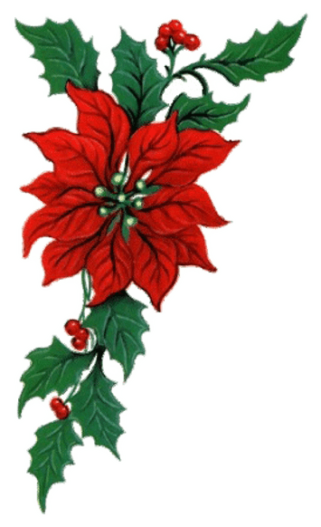 Set Of 4 Christmas Cutlery Holders Sock Santa Dinner - Free Poinsettia Clip Art - Free Transparent PNG Clipart Images Download. - Transparent PNG Free Download | PNGio