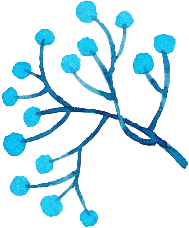 Our Dinner Menu - Our Dinner Menu - Free Transparent PNG Clipart Images Download. - Transparent PNG Free Download | PNGio