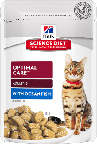 Sd Feline Adult With Ocean Fish Tender Chunks - Hill's Science Diet Adult 7+ Tender Chicken Dinner Transparent PNG - 500x500 - Free Download on - Transparent PNG Free Download | PNGio