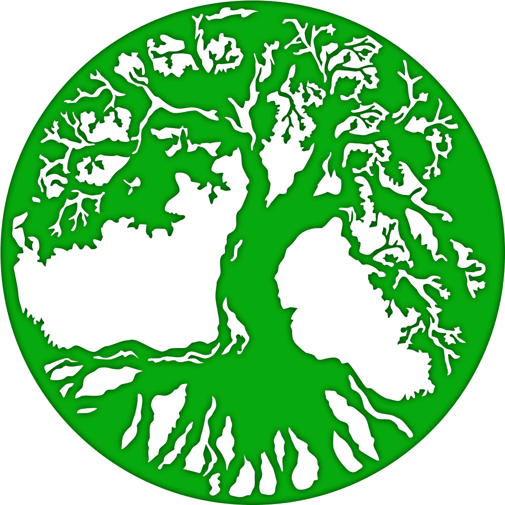 Chef Masterpiece Polish Pottery Dinner Plate 11 Transparent PNG - 1156x1200 - Free Download on - Transparent PNG Free Download | PNGio