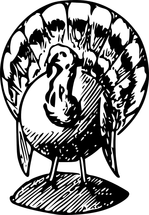 Turkey Png Black And White Transparent PNG - 500x719 - Free Download on - Transparent PNG Free Download | PNGio