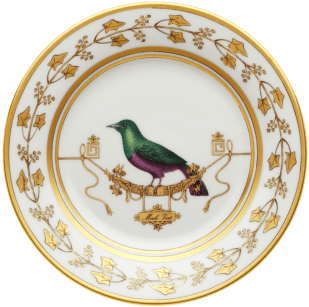 00 Richard Ginori Vliere Merl Vert Dinner Plate - Richard Ginori Impero Voliere Tea Cup Breve Transparent PNG - 490x355 - Free Download on - Transparent PNG Free Download | PNGio