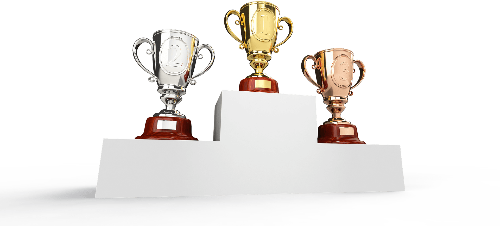 Winner Winner Chicken Dinner - Prize Giving Png Transparent PNG - 1920x1024 - Free Download on - Transparent PNG Free Download | PNGio