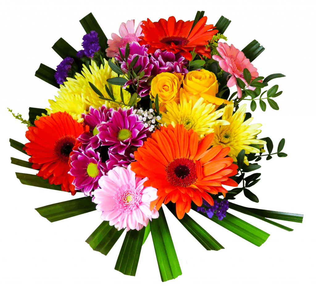 From Birthday Parties To Anniversary Dinners, Floral - Flower Image Png Hd Transparent PNG - 1024x943 - Free Download on - Transparent PNG Free Download | PNGio