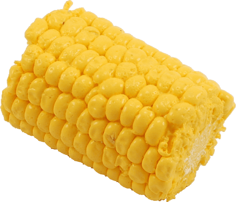 Corn Cob Png - Corn On The Cob, Transparent - Transparent PNG Free Download | PNGio