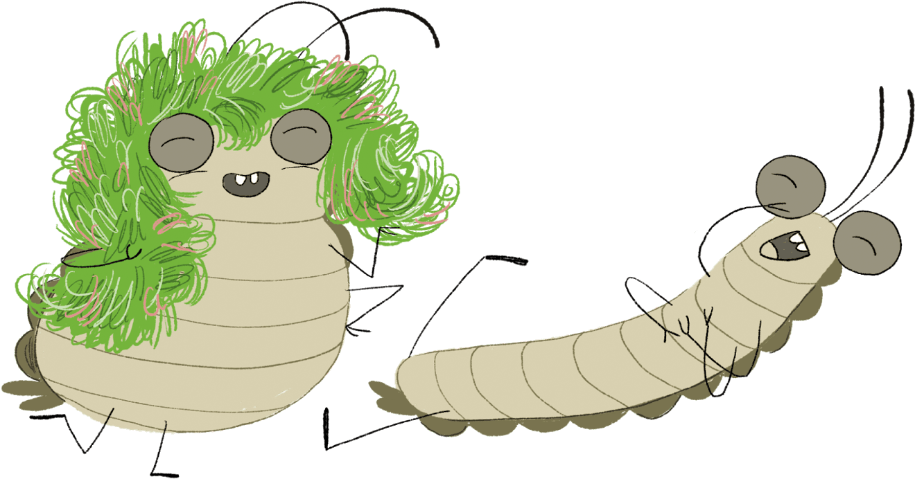 Transparent Firefly Insect Png - Cartoon, Png Download - Transparent PNG Free Download | PNGio