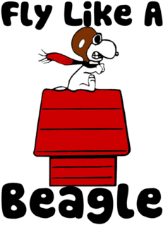 A Few Peanuts / Snoopy / Charlie Brown Preservation - Airplane - Free Transparent PNG Clipart Images Download. - Transparent PNG Free Download | PNGio