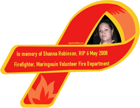 In Memory Of Shanna Robinson, Rip 6 May 2008 / Firefighter, - Airplane - Free Transparent PNG Clipart Images Download. - Transparent PNG Free Download | PNGio
