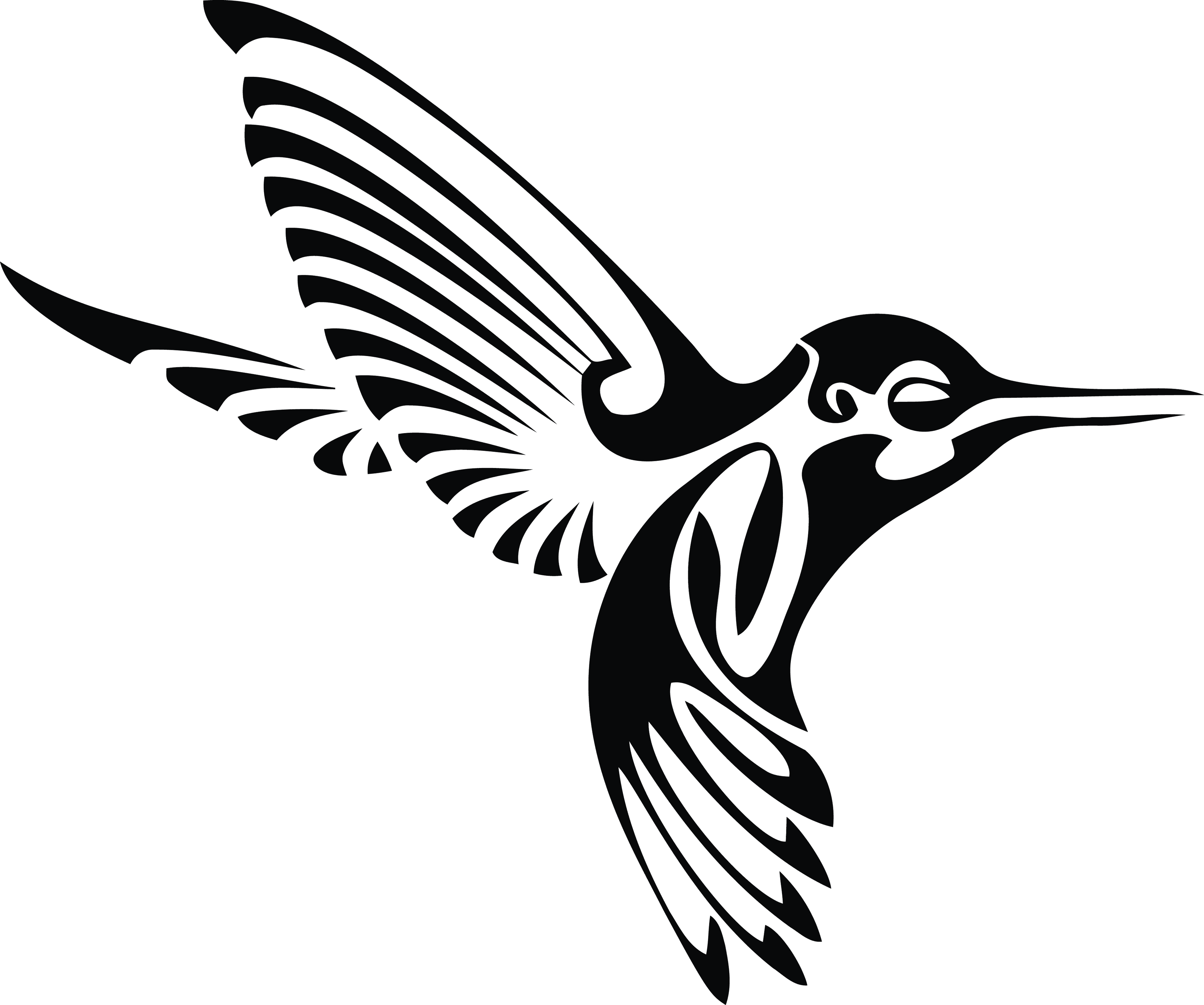 248 Free Clipart Of A Black And White Tribal Hummingbird - 248 Free Clipart Of A Black And White Tribal Hummingbird - Free Transparent PNG Clipart Images Download. - Transparent PNG Free Download | PNGio