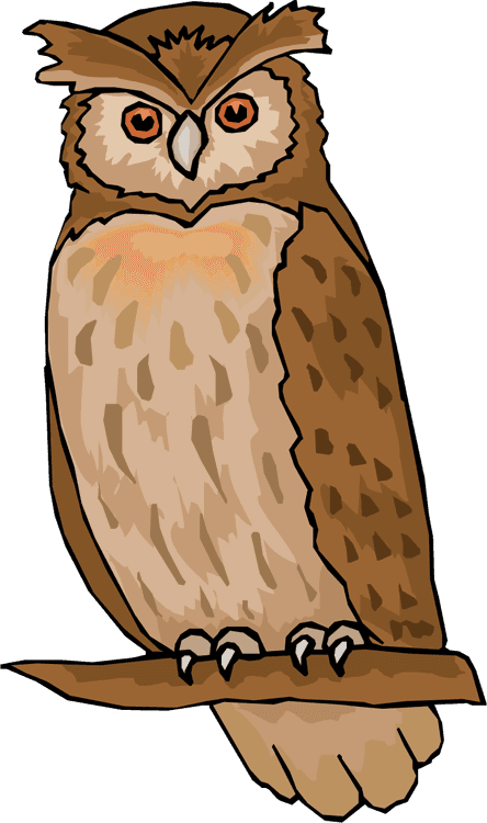 Clipart Of Owl Free Owl Clipart Animations - Owl Images Clip Art - Free Transparent PNG Clipart Images Download. - Transparent PNG Free Download | PNGio