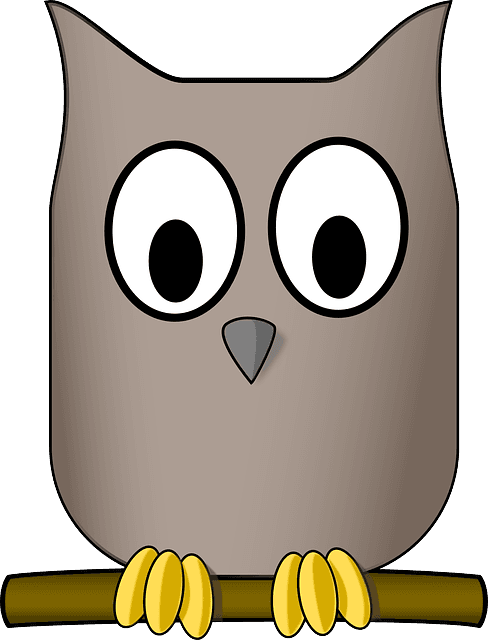 Nature Owl, Animal, Aves, Bird, Eyes, Nature - Cartoon Athenas Owl - Free Transparent PNG Clipart Images Download. - Transparent PNG Free Download | PNGio