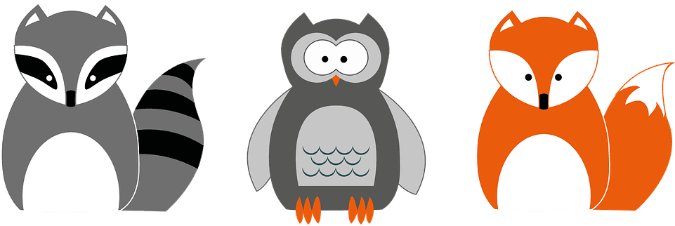 Waschbär Eule Fuchs Applikation Waldtiere - Fox And Owl Cartoon - Free Transparent PNG Clipart Images Download. - Transparent PNG Free Download | PNGio