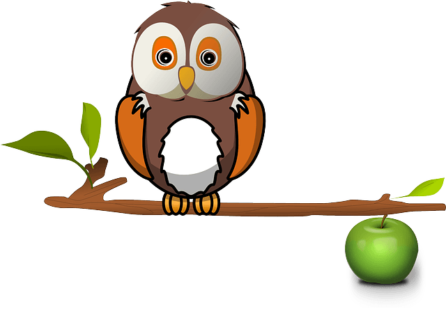 Apple Zweig Eule Baum Eule Eule Eule Eule - Owl On Branch Clipart - Free Transparent PNG Clipart Images Download. - Transparent PNG Free Download | PNGio