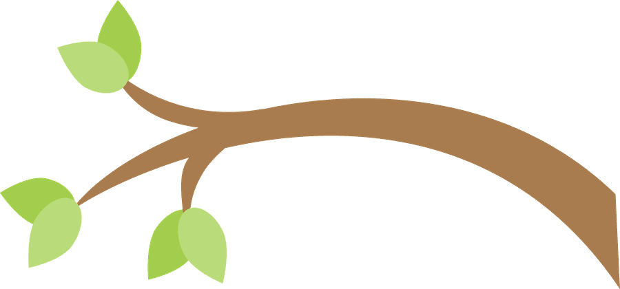 Corujas 2 - Minus - Owls - Free Transparent PNG Clipart Images Download. - Transparent PNG Free Download | PNGio