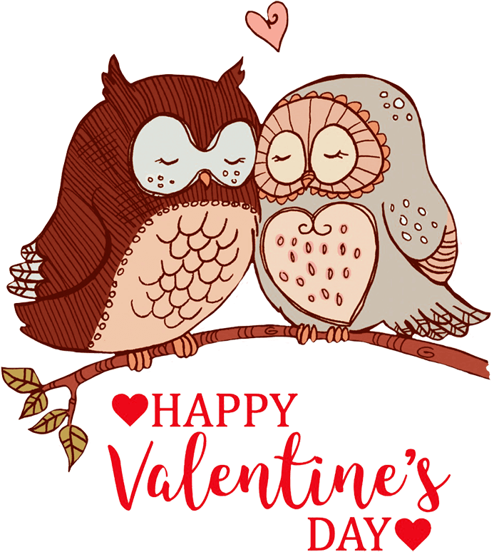 Happy Valentines Day Greeting Owls In Love - Happy Valentines Day Owl - Free Transparent PNG Clipart Images Download. - Transparent PNG Free Download | PNGio