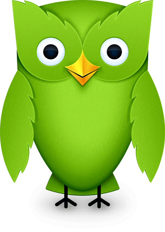 Do Our Machines Have Anything To Teach Us About How - Duolingo Owl Png - Free Transparent PNG Clipart Images Download. - Transparent PNG Free Download | PNGio