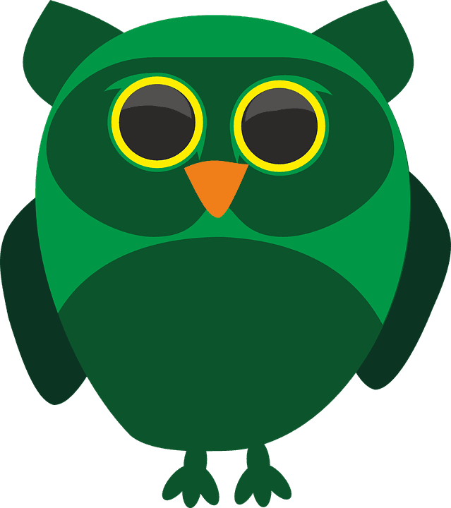 Descargue Imágenes Gratis De Sowa De Más De Fotos, - Vector Illustration Of A Green Owl Pendant Necklace - Free Transparent PNG Clipart Images Download. - Transparent PNG Free Download | PNGio