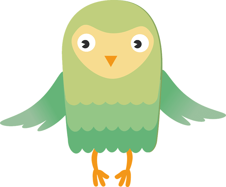 Cartoon Barn Owl 5, Buy Clip Art - Owl - Free Transparent PNG Clipart Images Download. - Transparent PNG Free Download | PNGio