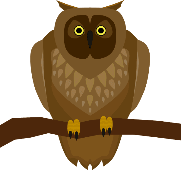 Owl Sitting On A Branch - Free Transparent PNG Clipart Images Download. - Transparent PNG Free Download | PNGio