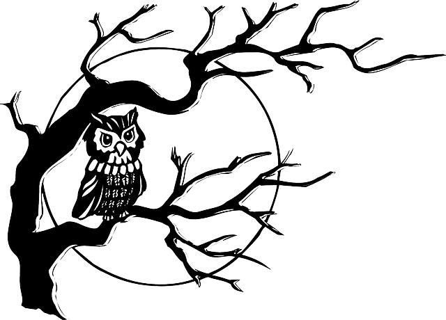 Baby, Dead, Tribal, Moon, Drawn, Sketch - Owl On A Tree Drawing - Free Transparent PNG Clipart Images Download. - Transparent PNG Free Download | PNGio