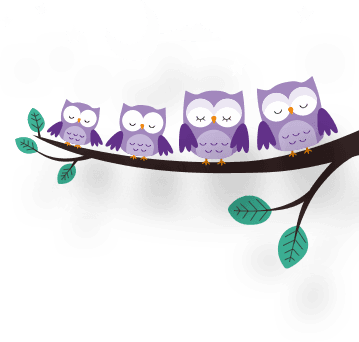 The Breathing Sleeping Bag - Screech Owl - Free Transparent PNG Clipart Images Download. - Transparent PNG Free Download | PNGio