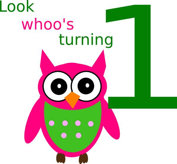 Birthday Owl Clip Art - Cartoon Clip Art Owls - Free Transparent PNG Clipart Images Download. - Transparent PNG Free Download | PNGio