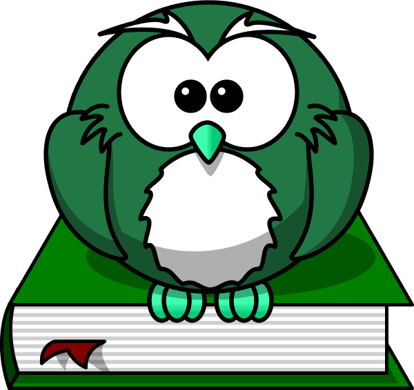 Owl - Cartoon Owl Shower Curtain - Free Transparent PNG Clipart Images Download. - Transparent PNG Free Download | PNGio