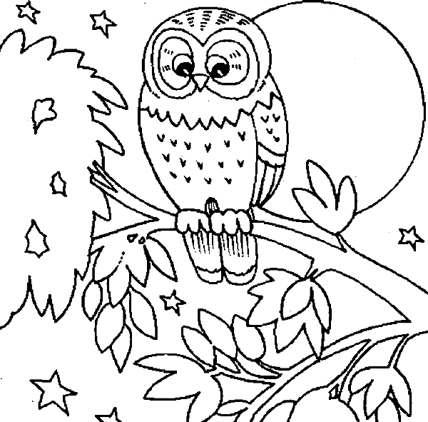 Free Printable Coloring Pages Of Owls - Owls Coloring Pages Printable - Free Transparent PNG Clipart Images Download. - Transparent PNG Free Download | PNGio