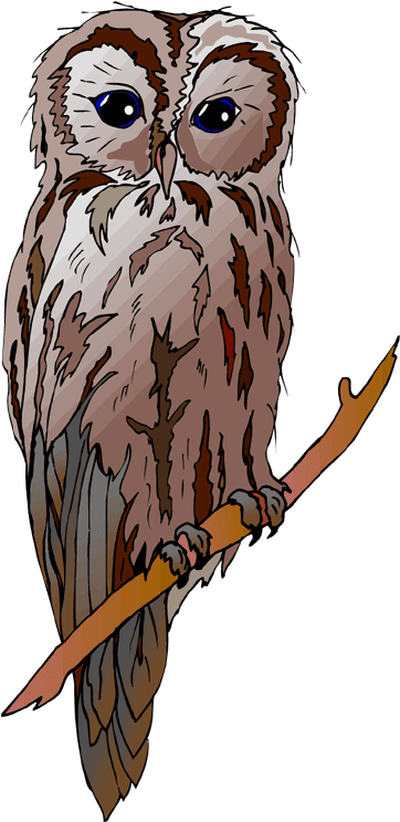 Vintage Halloween Image - Owl Drawing - Free Transparent PNG Clipart Images Download. - Transparent PNG Free Download | PNGio