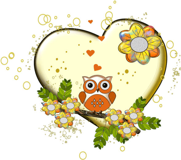 Owl - Free Transparent PNG Clipart Images Download. - Transparent PNG Free Download | PNGio