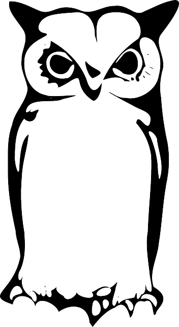 Owlet, Eagle Owl, Animal, Bird, Sitting - Owl Png - Free Transparent PNG Clipart Images Download. - Transparent PNG Free Download | PNGio