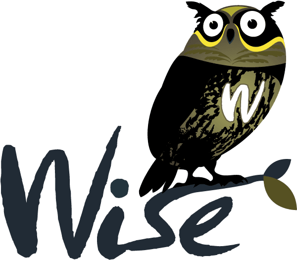 Wise Logo - Owl Logo Design .png - Free Transparent PNG Clipart Images Download. - Transparent PNG Free Download | PNGio