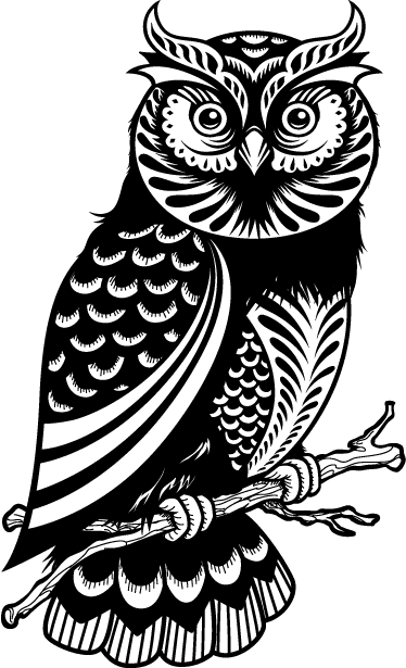 Vinilo Decorativo Dibujo Búho En Rama - Owl Illustration - Free Transparent PNG Clipart Images Download. - Transparent PNG Free Download | PNGio