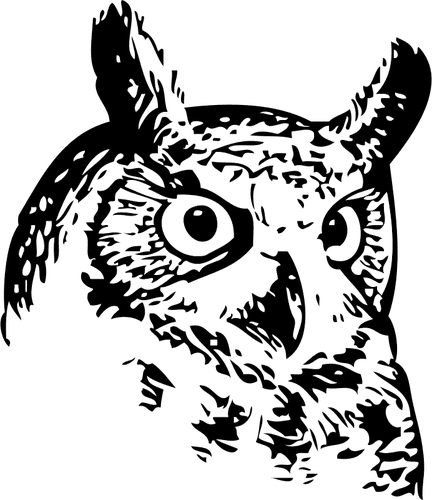Owl Head Vector Image - Owl Png Black And White - Free Transparent PNG Clipart Images Download. - Transparent PNG Free Download | PNGio