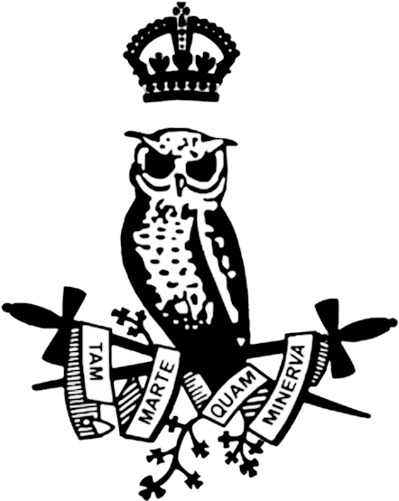 Drawn Owl Minerva - Owl With Sword - Free Transparent PNG Clipart Images Download. - Transparent PNG Free Download | PNGio