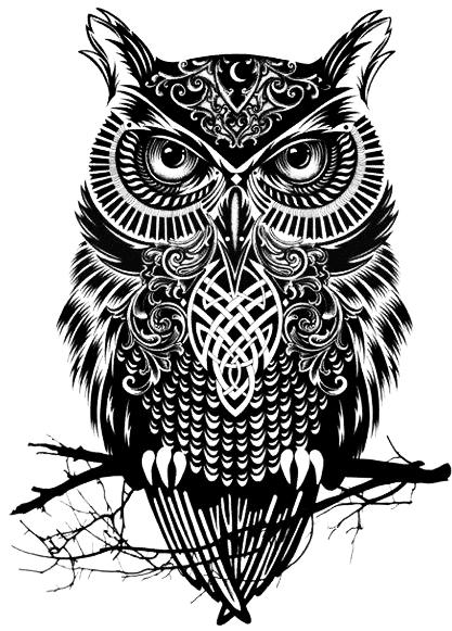 41 Images About Owls On We Heart It - Black And White Owl Drawing - Free Transparent PNG Clipart Images Download. - Transparent PNG Free Download | PNGio