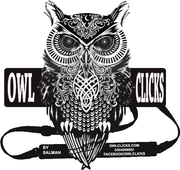 Feathers Gifs Wifflegif - Rachel Caldwell Canvas Wall Art - Warrior Owl - Free Transparent PNG Clipart Images Download. - Transparent PNG Free Download | PNGio