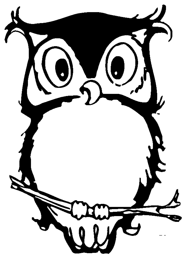 Owl - - Owl - Free Transparent PNG Clipart Images Download. - Transparent PNG Free Download | PNGio