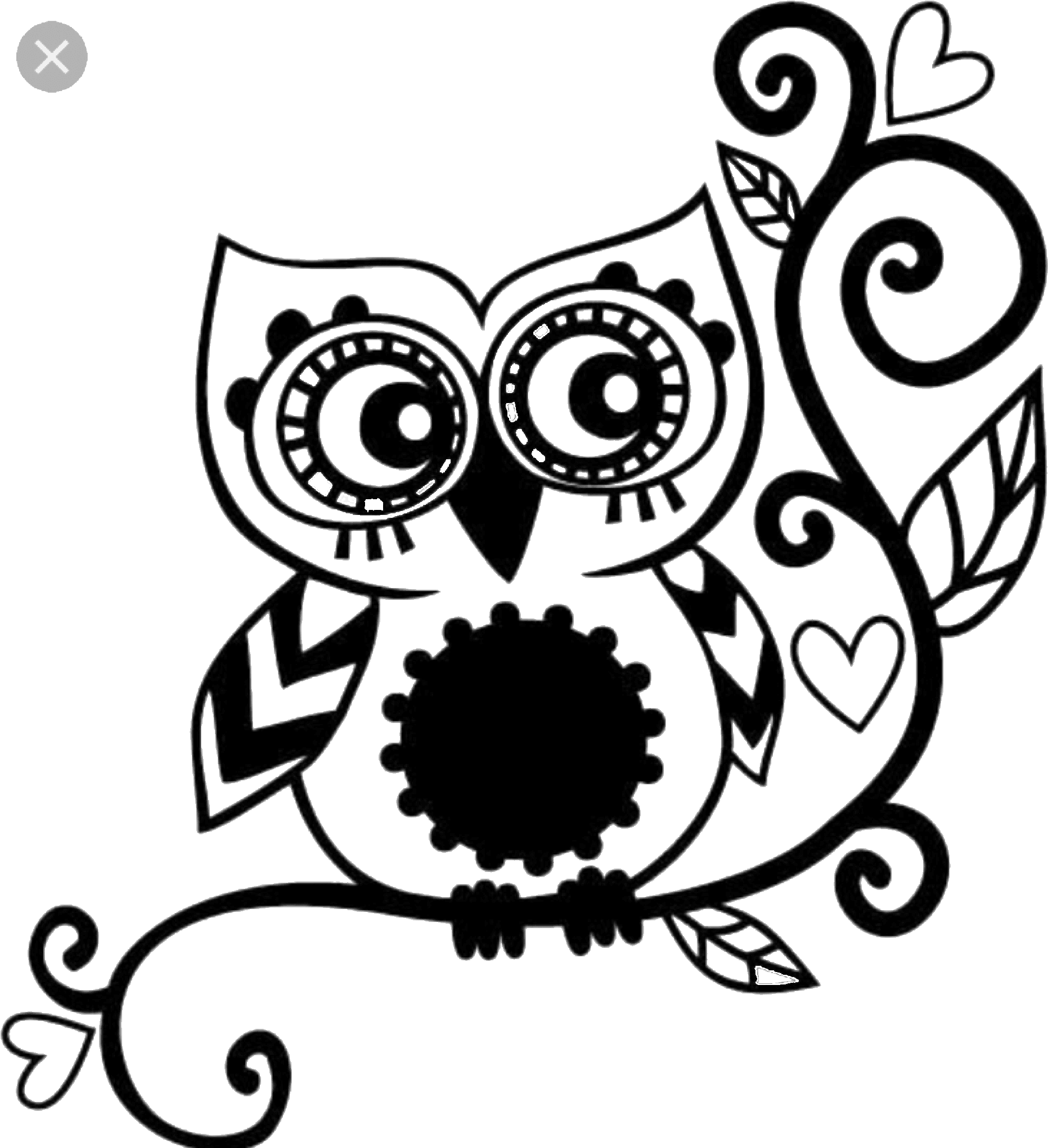 Find This Pin And More On Quotes/shapes By Dsign7 - Owl Decal - Free Transparent PNG Clipart Images Download. - Transparent PNG Free Download | PNGio