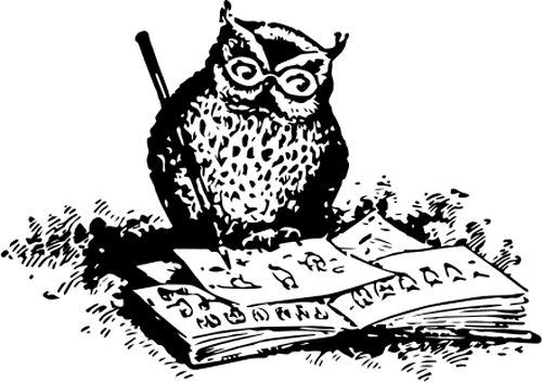 Owl Illustrating - Owl Writing Book - Free Transparent PNG Clipart Images Download. - Transparent PNG Free Download | PNGio