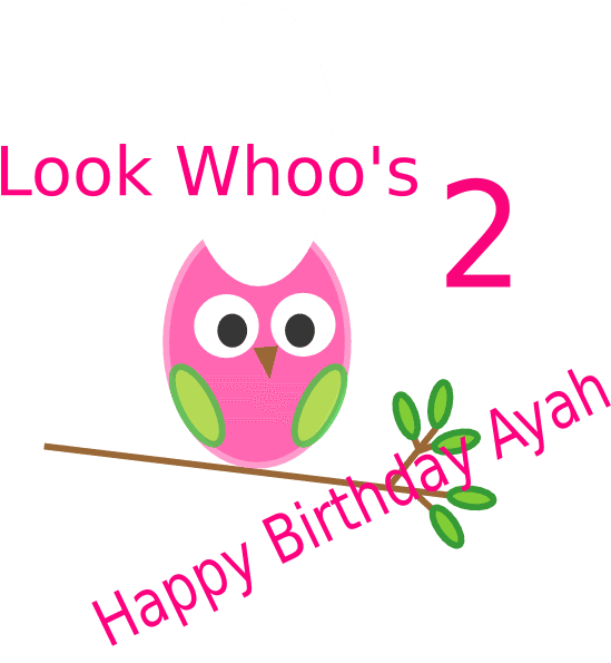 Owl Clip Art - Free Transparent PNG Clipart Images Download. - Transparent PNG Free Download | PNGio