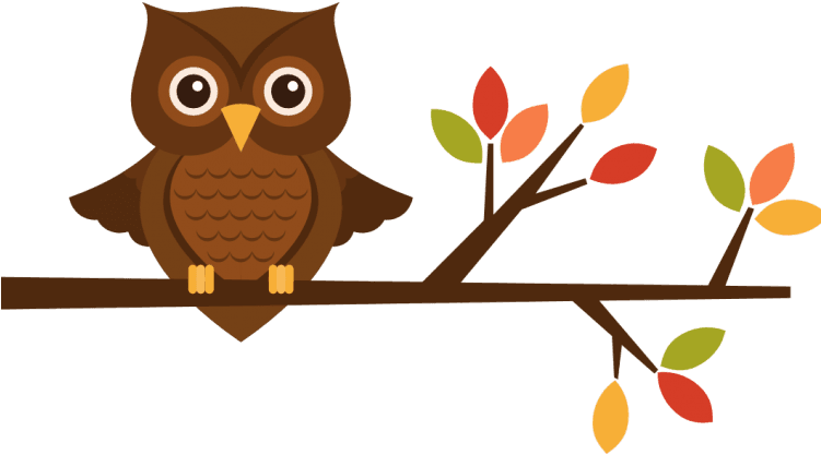 1200 X 600 - Owl Happy Birthday Coloring Page - Free Transparent PNG Clipart Images Download. - Transparent PNG Free Download | PNGio