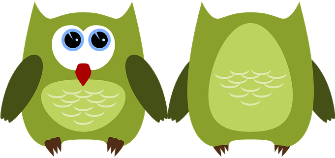 Owl Bird Animal Plumage Cute Feather Birds - Bright Red Owl Oval Ornament - Free Transparent PNG Clipart Images Download. - Transparent PNG Free Download | PNGio