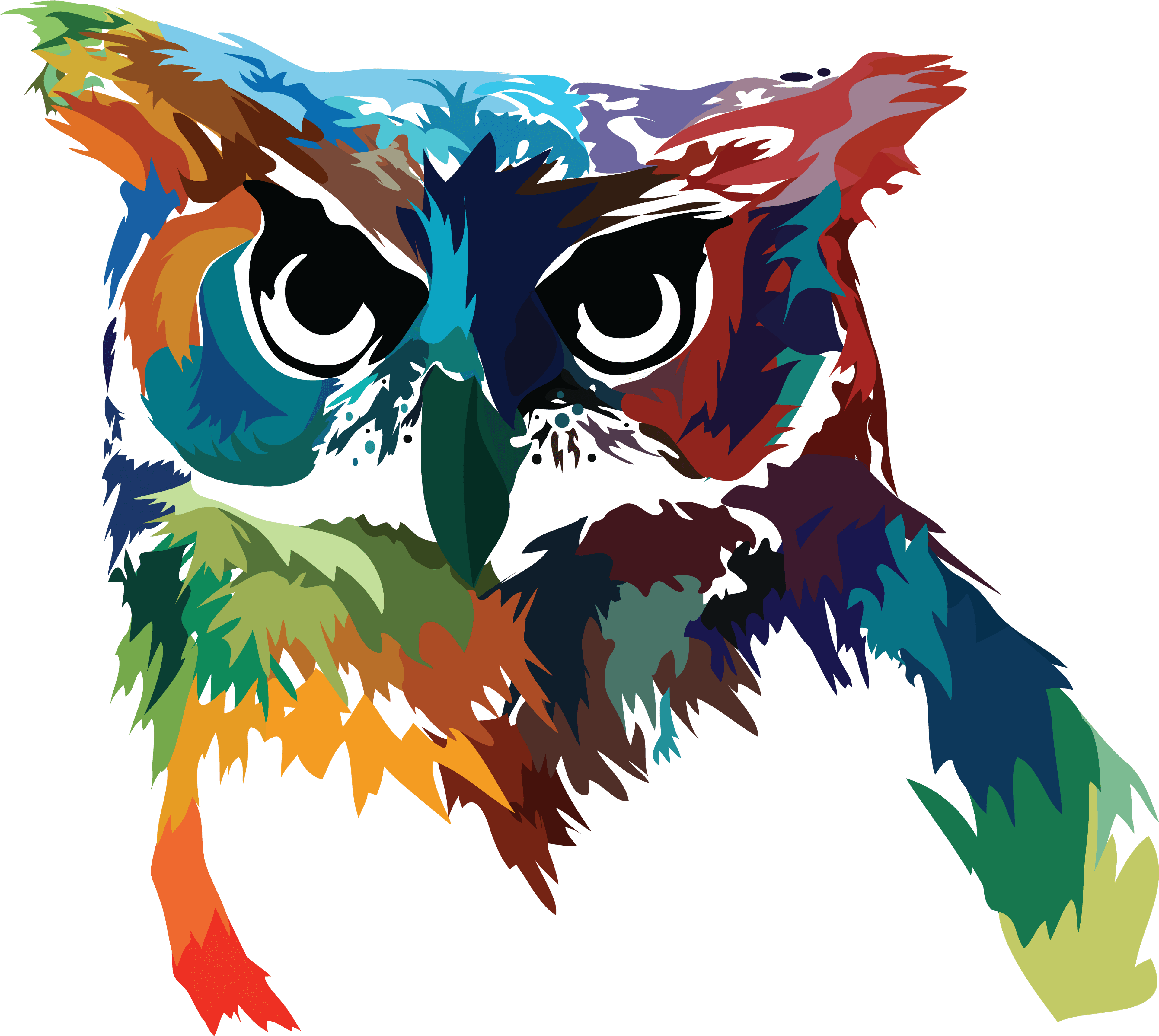Psychedelic Owl By Animal Creations - Owl - Free Transparent PNG Clipart Images Download. - Transparent PNG Free Download | PNGio